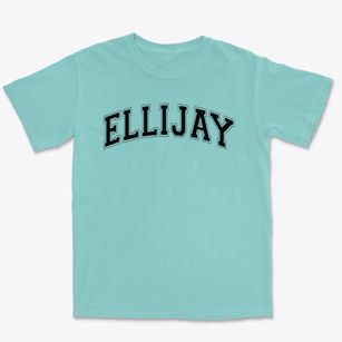Ellijay Sda School Varsity Arch Premium Heavyweight T-shirt
