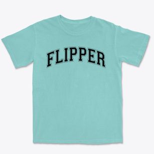 Flipper Chapel Ame Christian School Varsity Arch Premium Heavyweight T-shirt