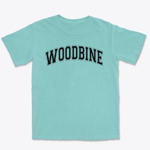 Woodbine High School Varsity Arch Premium Heavyweight T-shirt