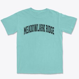 Meadowlark Ridge Elementary Varsity Arch Premium Heavyweight T-shirt