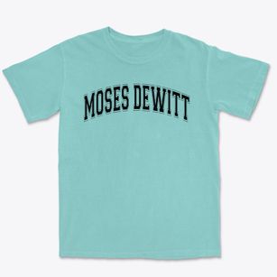 Moses Dewitt Elementary School Varsity Arch Premium Heavyweight T-shirt