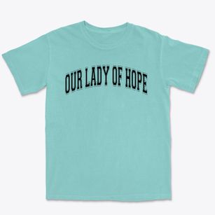 Our Lady Of Hope School Varsity Arch Premium Heavyweight T-shirt