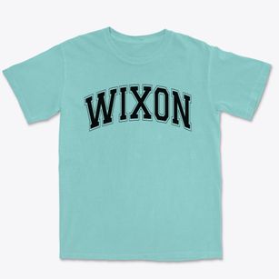Wixon Elementary School Varsity Arch Premium Heavyweight T-shirt