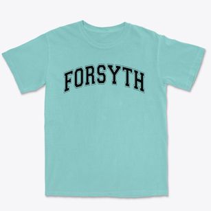 Forsyth Elementary School Varsity Arch Premium Heavyweight T-shirt