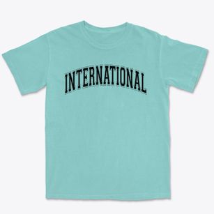 International Christian School Varsity Arch Premium Heavyweight T-shirt
