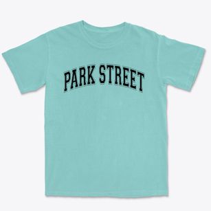 Park Street School Varsity Arch Premium Heavyweight T-shirt
