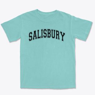 Salisbury Middle School Varsity Arch Premium Heavyweight T-shirt