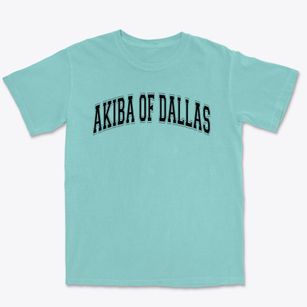 Akiba Academy Of Dallas Varsity Arch Premium Heavyweight T-shirt