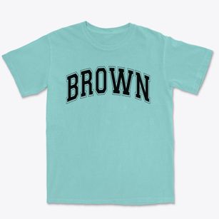 Brown Elementary School Varsity Arch Premium Heavyweight T-shirt