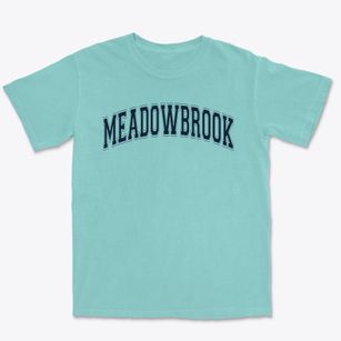 Meadowbrook Elementary School Varsity Arch Premium Heavyweight T-shirt
