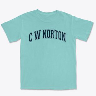 C W Norton Elementary School Varsity Arch Premium Heavyweight T-shirt