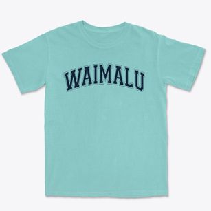 Waimalu Elementary School Varsity Arch Premium Heavyweight T-shirt