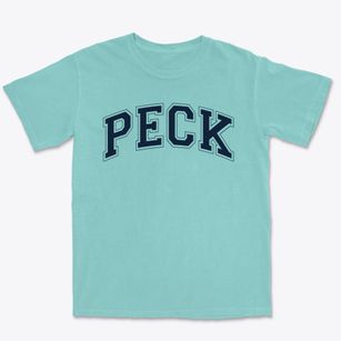 Peck Elementary School Varsity Arch Premium Heavyweight T-shirt