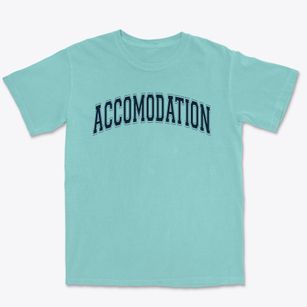 Accomodation Senior High School Varsity Arch Premium Heavyweight T-shirt