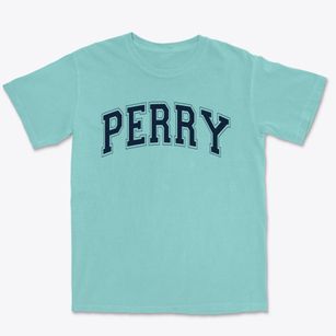 Perry Elementary School Varsity Arch Premium Heavyweight T-shirt