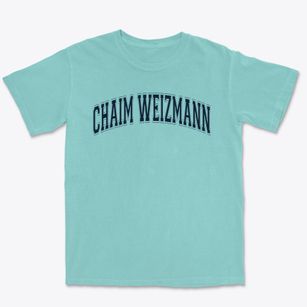 Chaim Weizmann Community Day School Varsity Arch Premium Heavyweight T-shirt