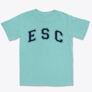 E S C School At Kingston Varsity Arch Premium Heavyweight T-shirt