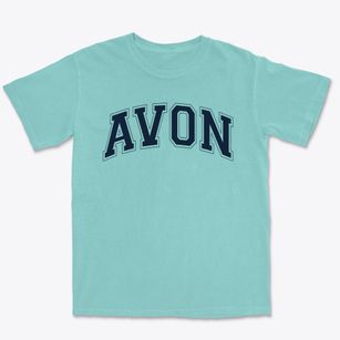 Avon Elementary School Varsity Arch Premium Heavyweight T-shirt