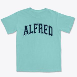 Alfred M Franko Magnet Middle School Varsity Arch Premium Heavyweight T-shirt