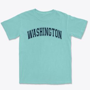 Washington Elementary School Varsity Arch Premium Heavyweight T-shirt