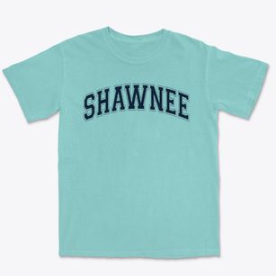 Shawnee Elementary School Varsity Arch Premium Heavyweight T-shirt