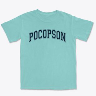 Pocopson Elementary School Varsity Arch Premium Heavyweight T-shirt