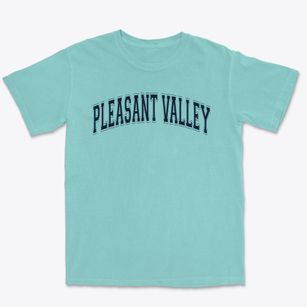 Pleasant Valley Elementary School Varsity Arch Premium Heavyweight T-shirt