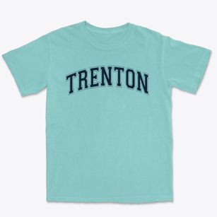 Trenton Elementary School Varsity Arch Premium Heavyweight T-shirt