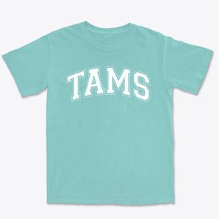 Texas Academy Of Math And Science Varsity Arch Premium Heavyweight T-shirt