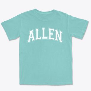 Allen Montessori School Varsity Arch Premium Heavyweight T-shirt