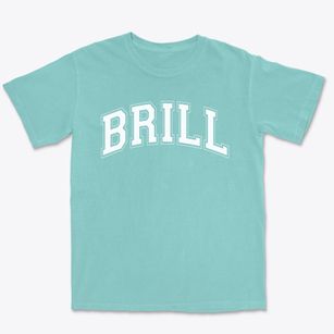 Brill Elementary School Varsity Arch Premium Heavyweight T-shirt