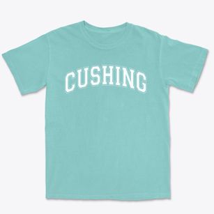Cushing Elementary School Varsity Arch Premium Heavyweight T-shirt