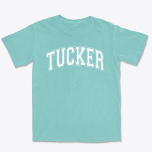 Tucker Elementary School Varsity Arch Premium Heavyweight T-shirt