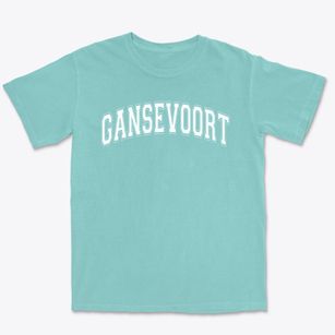 Gansevoort Elementary School Varsity Arch Premium Heavyweight T-shirt