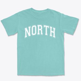 North High School Varsity Arch Premium Heavyweight T-shirt