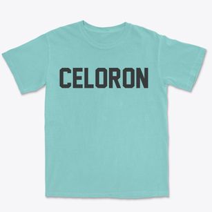 Celoron New York Classic Block Premium Heavyweight T-shirt