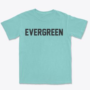 Evergreen North Carolina Classic Block Premium Heavyweight T-shirt