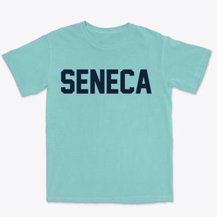 Seneca Illinois Classic Block Premium Heavyweight T-shirt