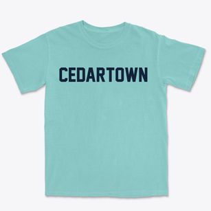 Cedartown Georgia Classic Block Premium Heavyweight T-shirt