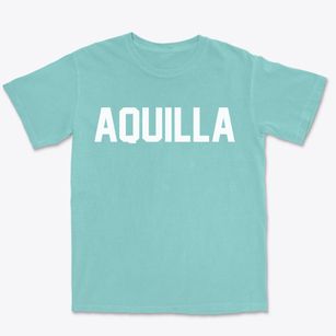 Aquilla Texas Classic Block Premium Heavyweight T-shirt