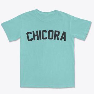 Chicora Pennsylvania Classic Curve Premium Heavyweight T-shirt