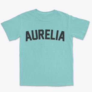 Aurelia Iowa Classic Curve Premium Heavyweight T-shirt