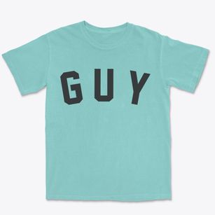 Guy Arkansas Classic Curve Premium Heavyweight T-shirt