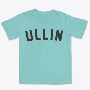 Ullin Illinois Classic Curve Premium Heavyweight T-shirt