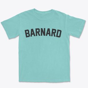 Barnard Missouri Classic Curve Premium Heavyweight T-shirt
