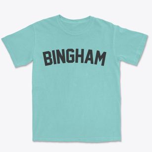 Bingham Illinois Classic Curve Premium Heavyweight T-shirt