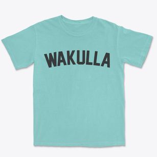Wakulla North Carolina Classic Curve Premium Heavyweight T-shirt