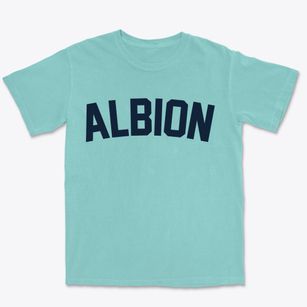 Albion Maine Classic Curve Premium Heavyweight T-shirt