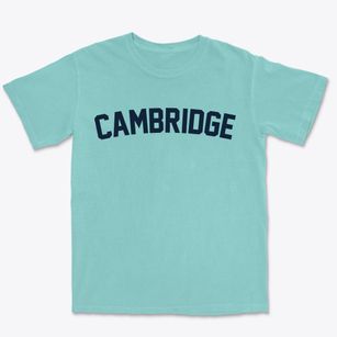 Cambridge Wisconsin Classic Curve Premium Heavyweight T-shirt