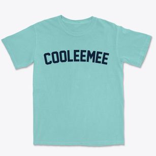 Cooleemee North Carolina Classic Curve Premium Heavyweight T-shirt